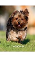 Yorkie Journal: 8.5 x 11 inch dog notebook, yorkshire notebook, college ruled composition book, 150 pages