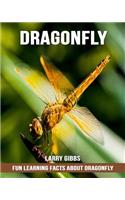 Fun Learning Facts about Dragonfly