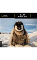 Cal 2021- National Geographic Baby Animals Wall