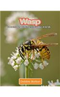 Wasp: Fun Facts and Amazing Photos of Animals in Nature