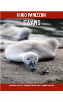 Swans: Amazing Photos & Fun Facts Book about Swans for Kids