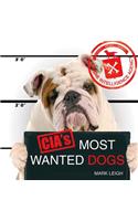 Cia's Most Wanted Dogs