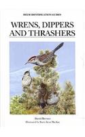 Wrens, Dippers and Thrashers