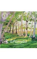 Poster Poem Cards: Eifionydd
