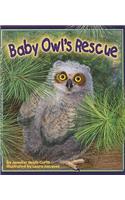 Baby Owl's Rescue