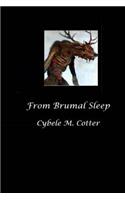 From Brumal Sleep -- 2nd Edition