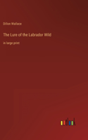 Lure of the Labrador Wild: in large print