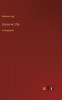 Essays in Little: in large print