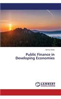 Public Finance in Developing Economies