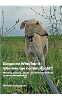 Diagnose Windhund - lebenslange Leinenpflicht?