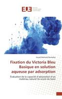 Fixation Du Victoria Bleu Basique En Solution Aqueuse Par Adsorption