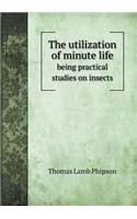 The utilization of minute life being practical studies on insects: (English)