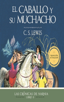 Caballo Y Su Muchacho