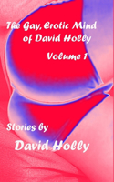 Gay, Erotic Mind of David Holly, Volume 1