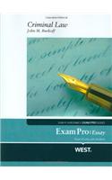 Exam Pro Essay on Criminal Law