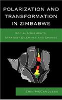 Polarization and Transformation in Zimbabwe