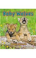 Baby Wolves