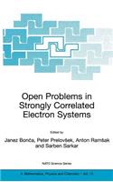 Open Problems in Strongly Correlated Electron Systems