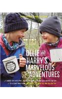 Ollie and Harry's Marvelous Adventures