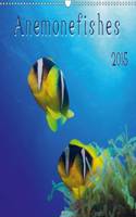 Anemonefishes / UK-Version 2015