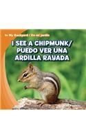 I See a Chipmunk / Puedo Ver Una Ardilla Rayada