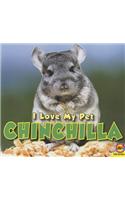 Chinchilla