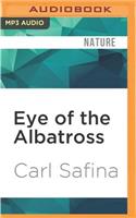 Eye of the Albatross
