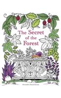 Secret of the Forest: Search for the Hidden Pieces of Jewellery. a Colouring Book for Adults.