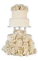Wedding Journal Rose Base Wedding Cake