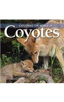 Exploring the World of Coyotes