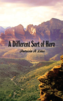 Different Sort of Hero