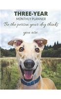 Three Year Monthly Planner Starting 2020 Agenda with Weekly Plan Space - Best Gift For Dog Owner - Funny Greyhound Appointment Book for 2021 & 2022