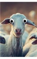 Googly Eye Goat Journal