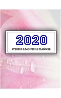 2020 Planner Weekly and Monthly