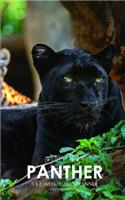 Panther 5 x 8 Weekly 2020 Planner: One Year Calendar