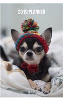 Chihuahua Planner 2019: Stylish Chihuahua Organizer and Notebook