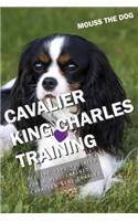 Cavalier King Charles Training