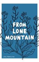 From Lone Mountain
