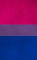 Bisexual Pride Flag Sketchbook