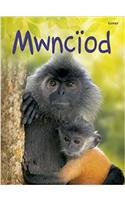 Cyfres Dechrau Da: Mwnciod