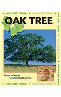 Oak Tree: (How Does It Grow?)