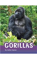 Gorillas
