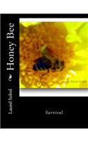 Honey Bee: (Honey Bee Fairy Tales)