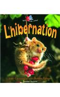 L'Hibernation