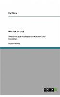 Was Ist Seele?