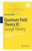 Quantum Field Theory III: Gauge Theory