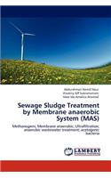 Sewage Sludge Treatment by Membrane Anaerobic System (Mas)