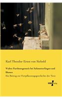 Wahre Parthenogenesis bei Schmetterlingen und Bienen