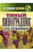 Ваш домашний урожайник. Умный винограднl