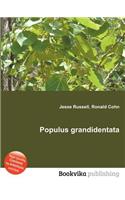 Populus Grandidentata